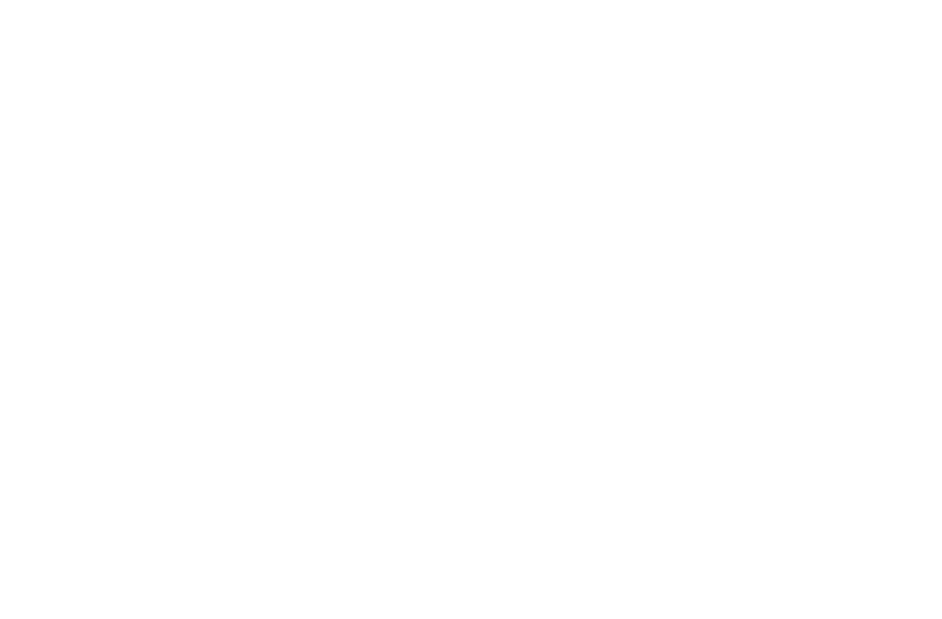 Goshikko Logo